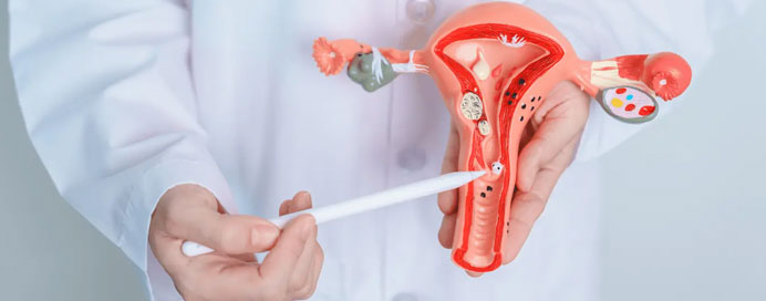 Best IVF Centre in Mandi, Himachal Pradesh - Dr. Tanu Verma